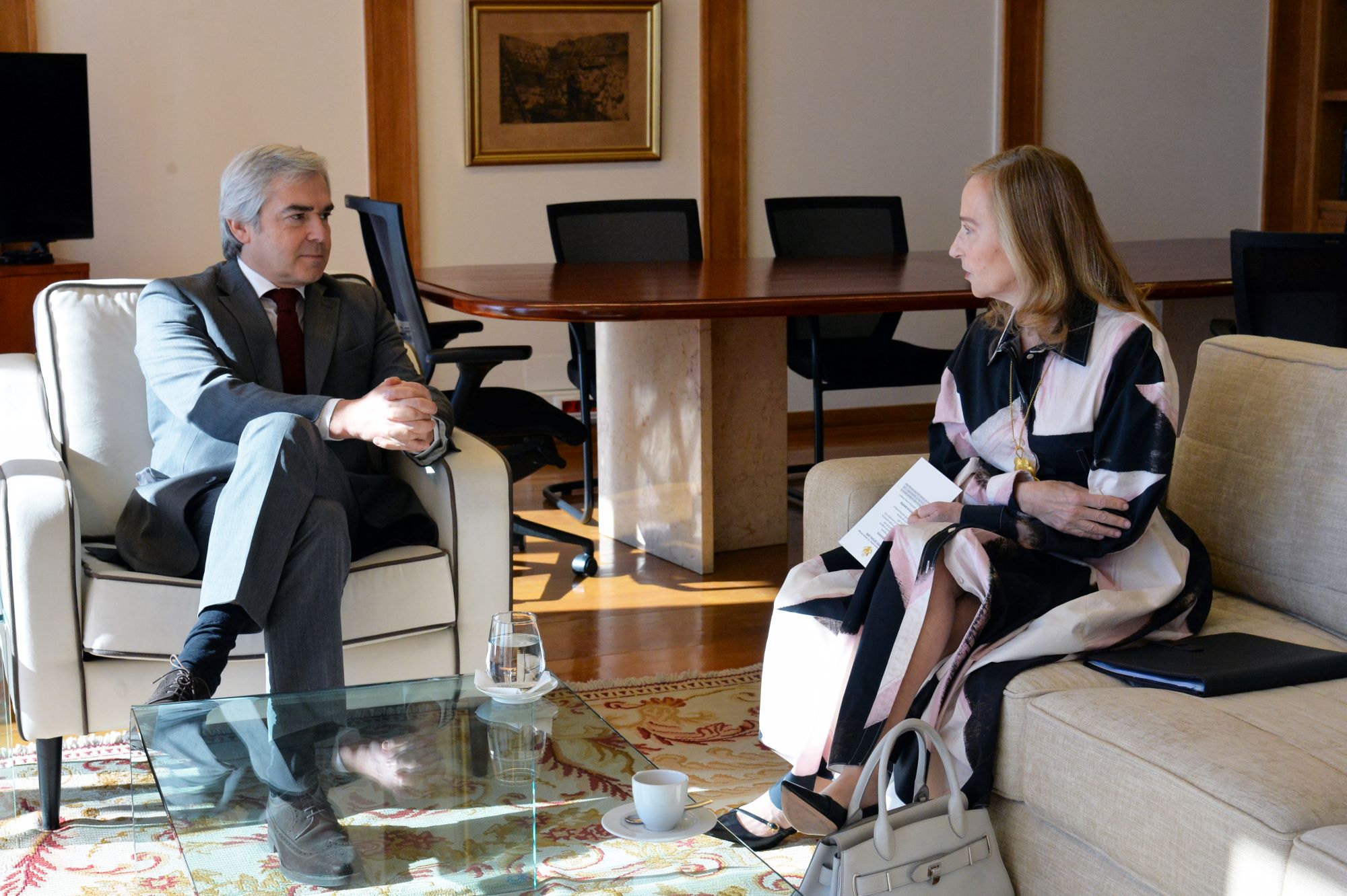 Ministro da Defesa com embaixadora USA