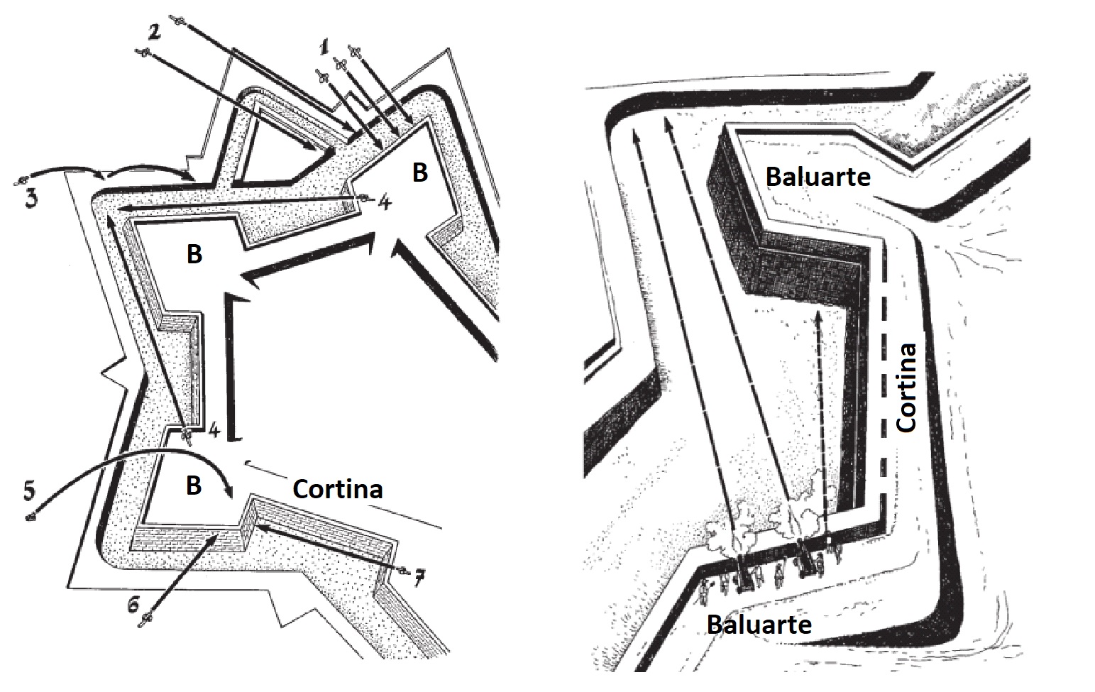 Figura 5.jpg