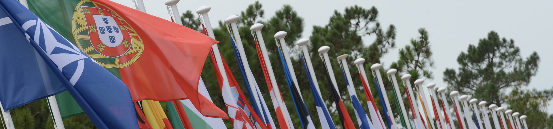 Imagem de bandeiras dos Países da NATO