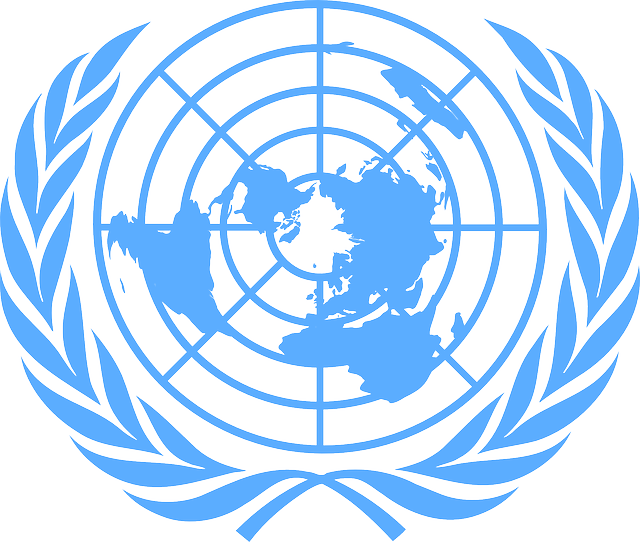 Logotipo ONU